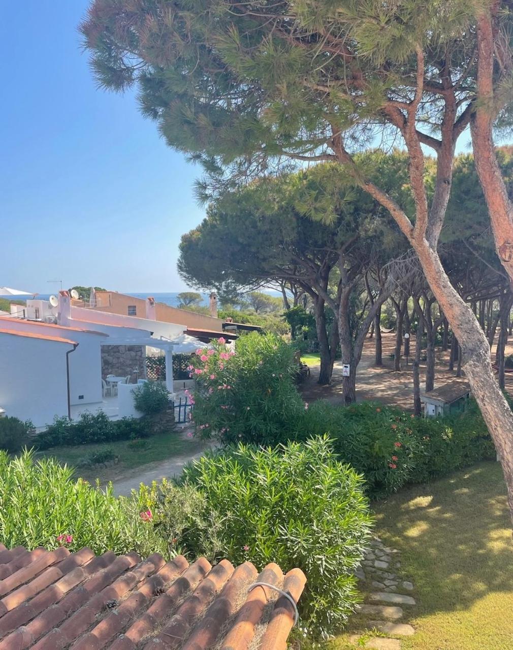 Villa Bambi Budoni Eksteriør bilde