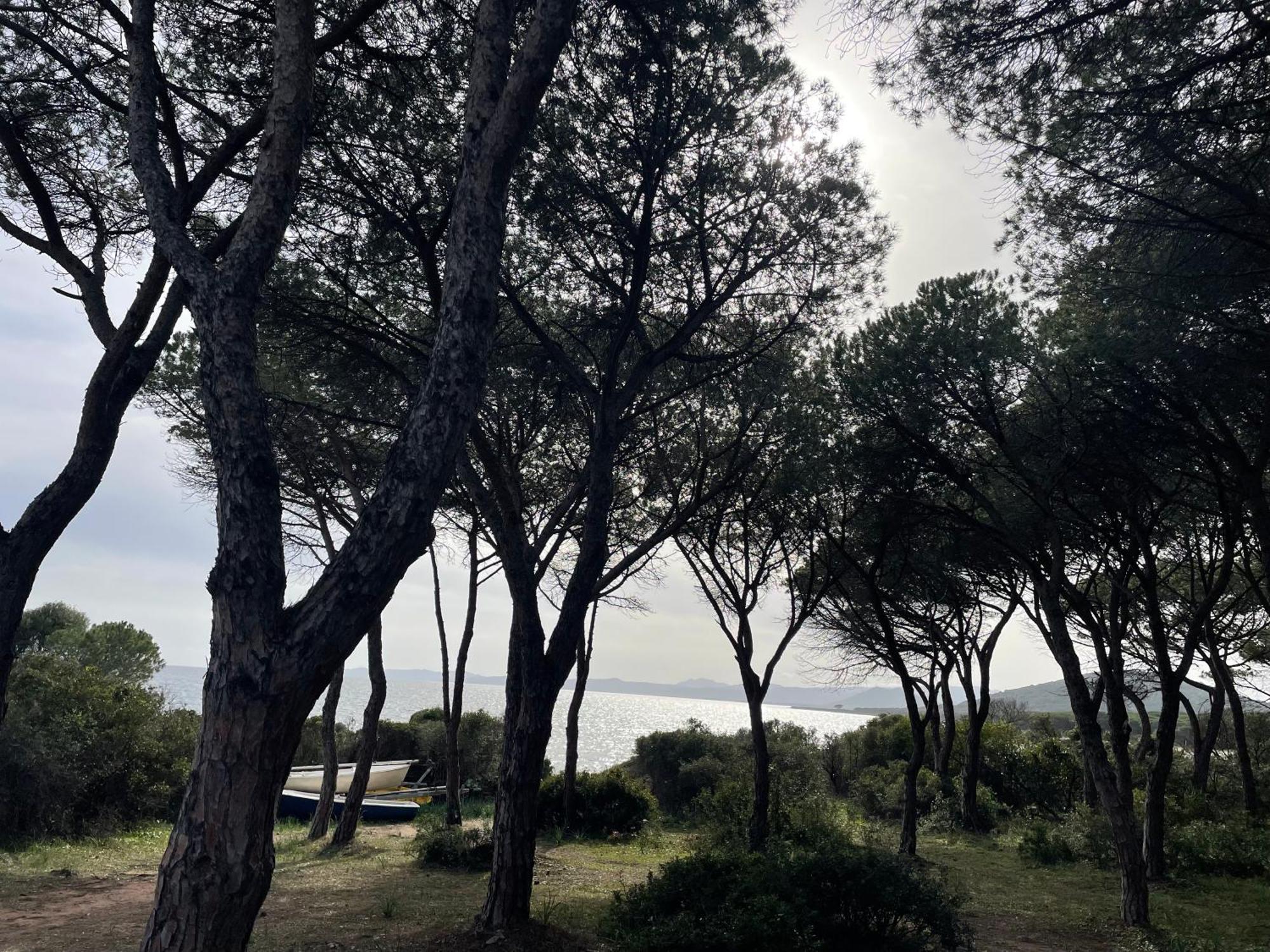 Villa Bambi Budoni Eksteriør bilde